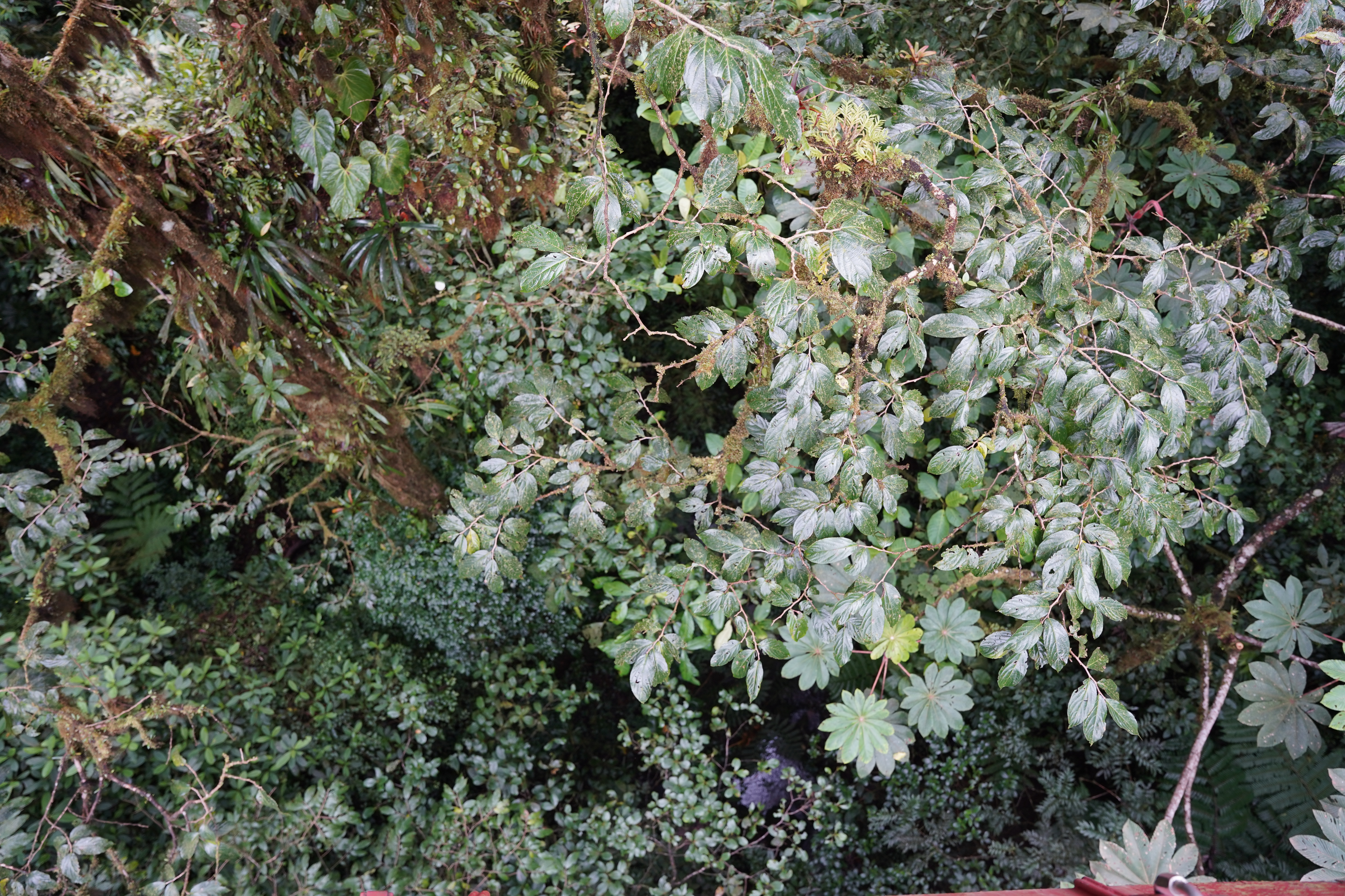 DSC07021