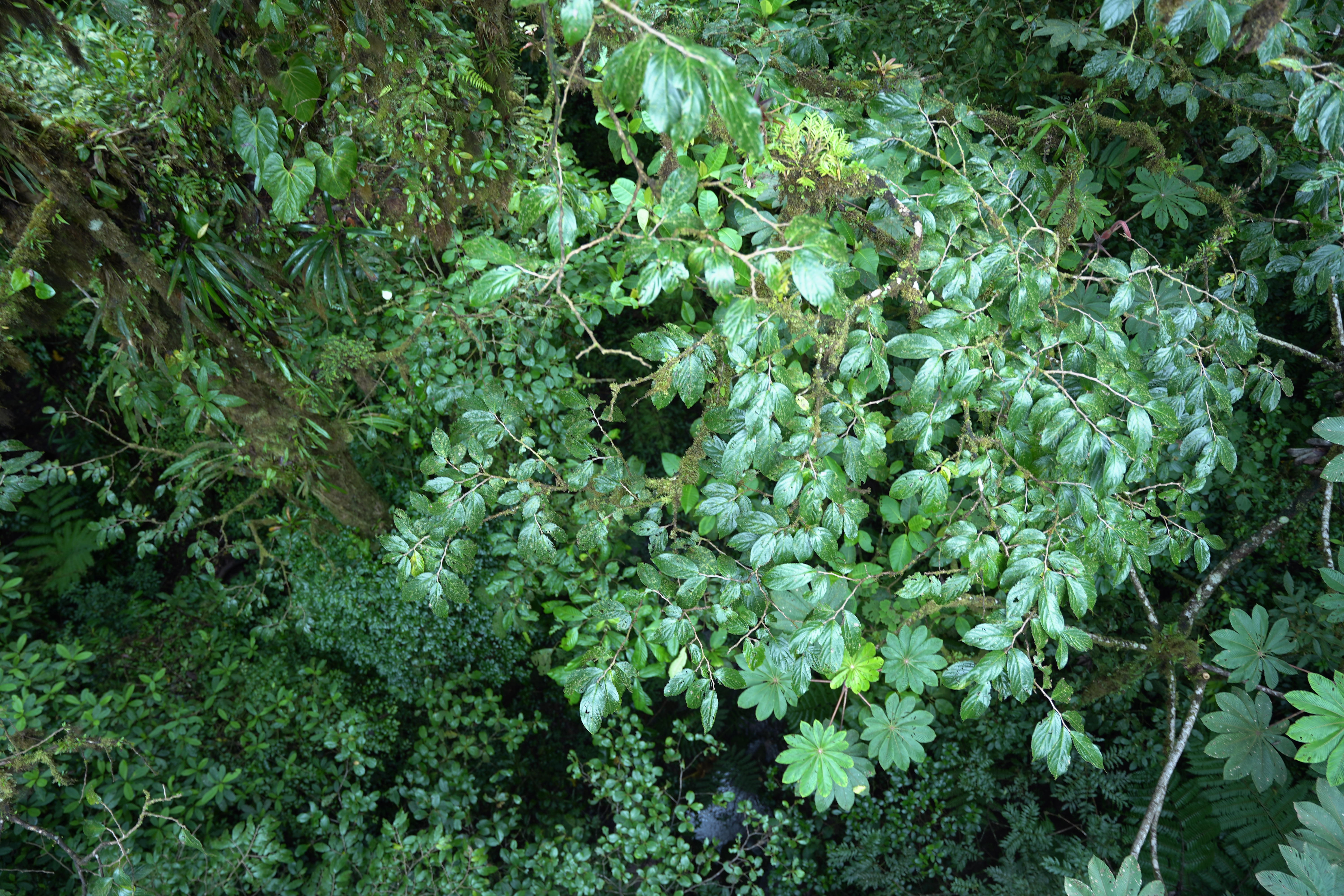 DSC07022