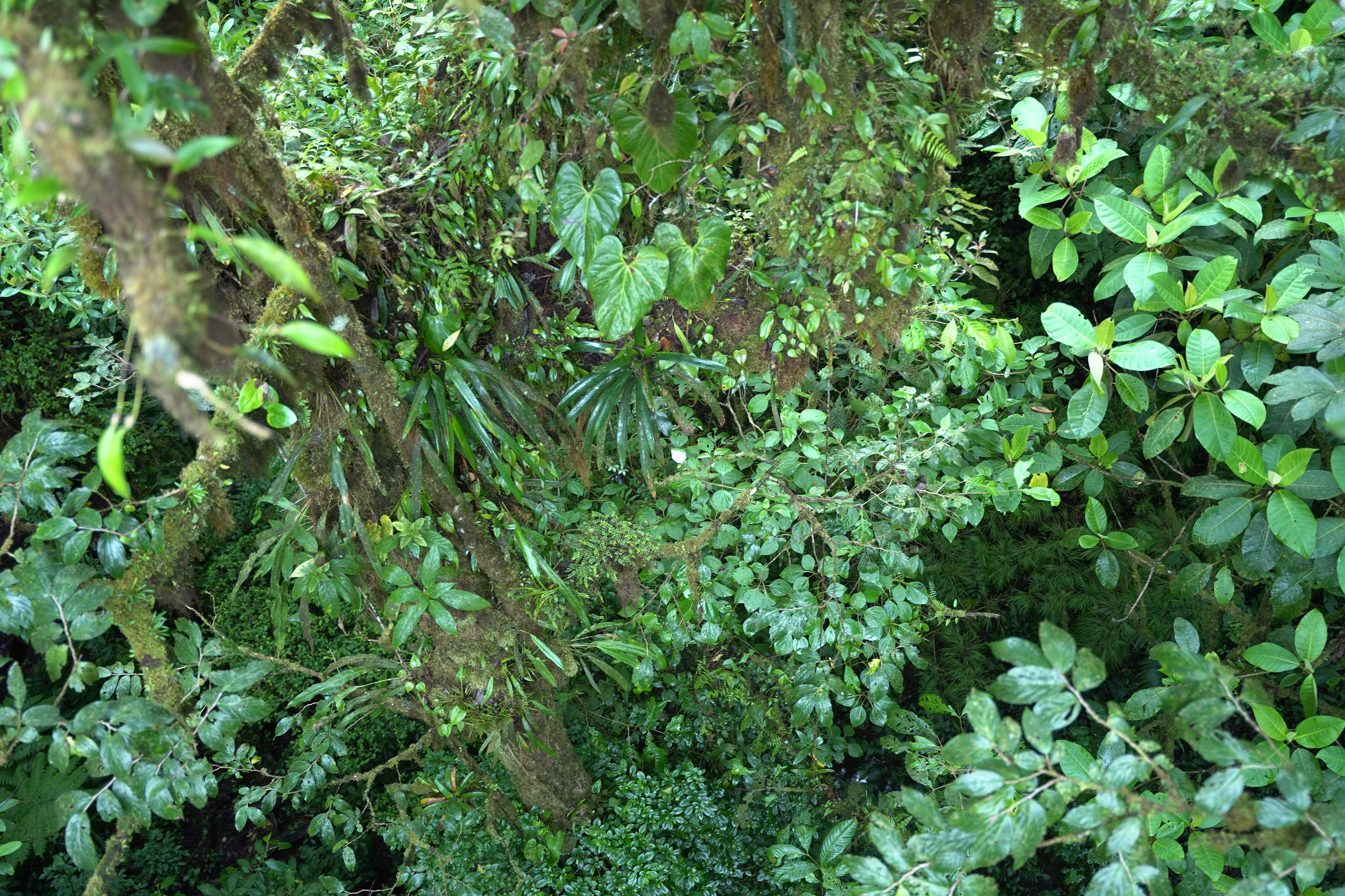 DSC07023