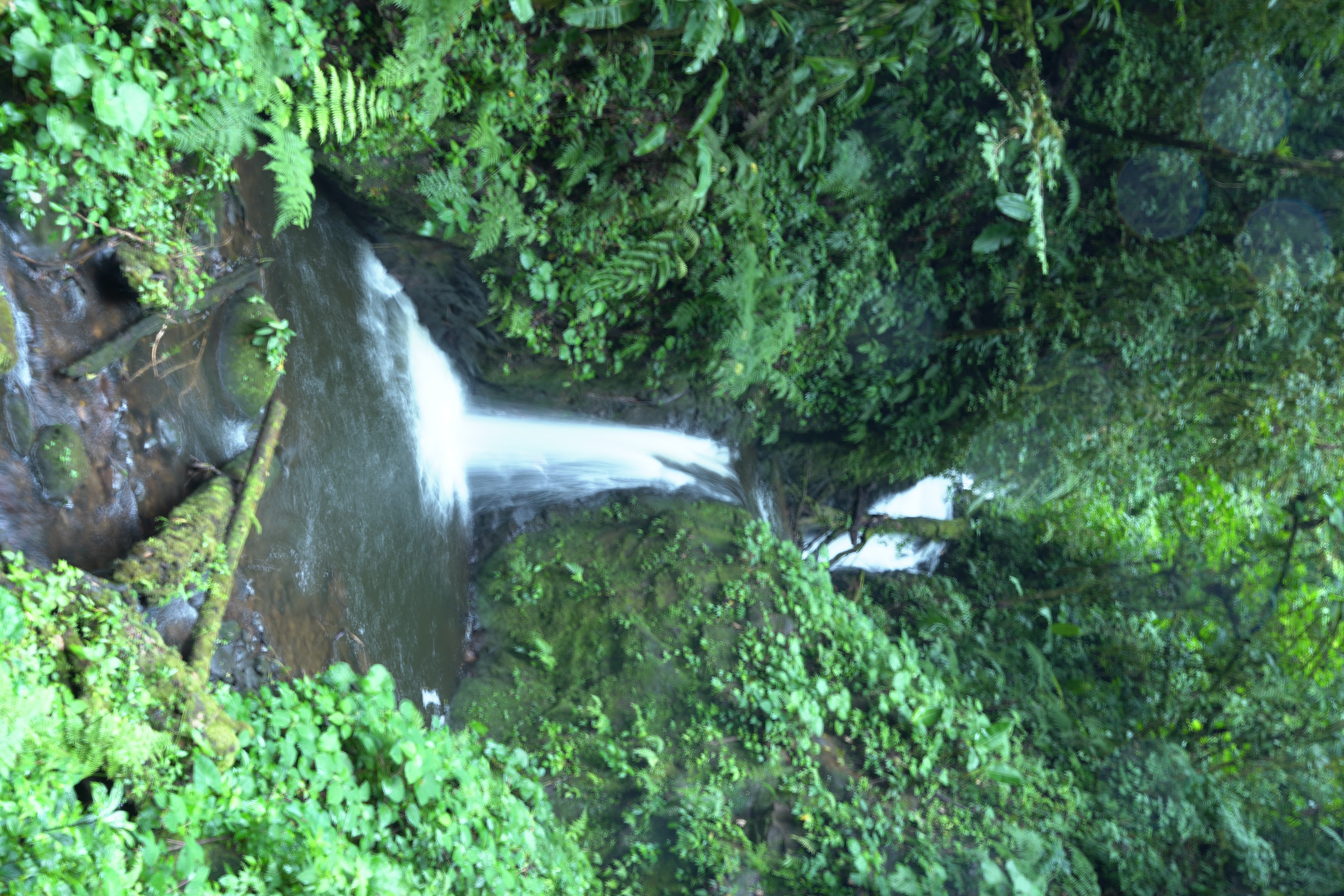 DSC07037
