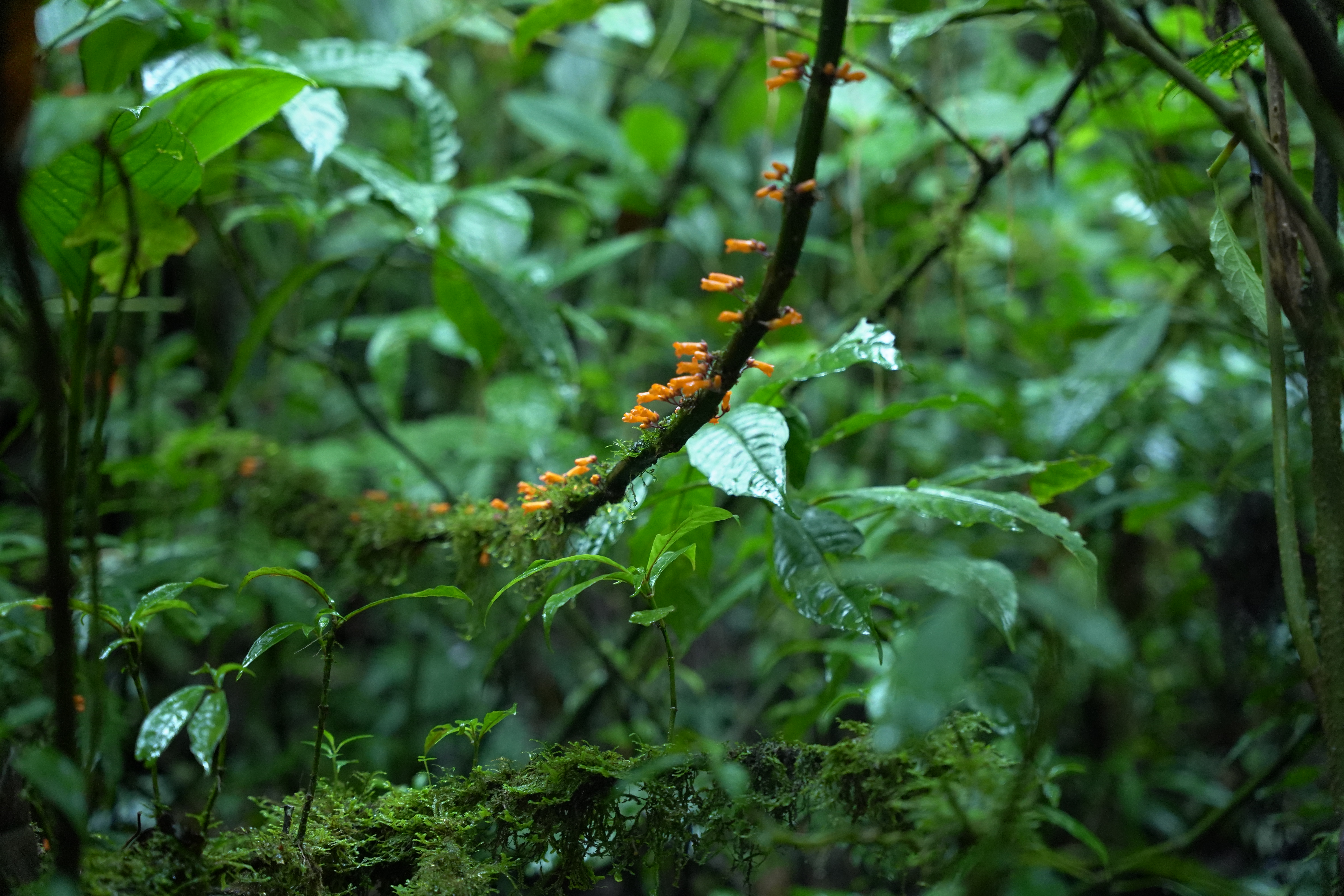 DSC07045