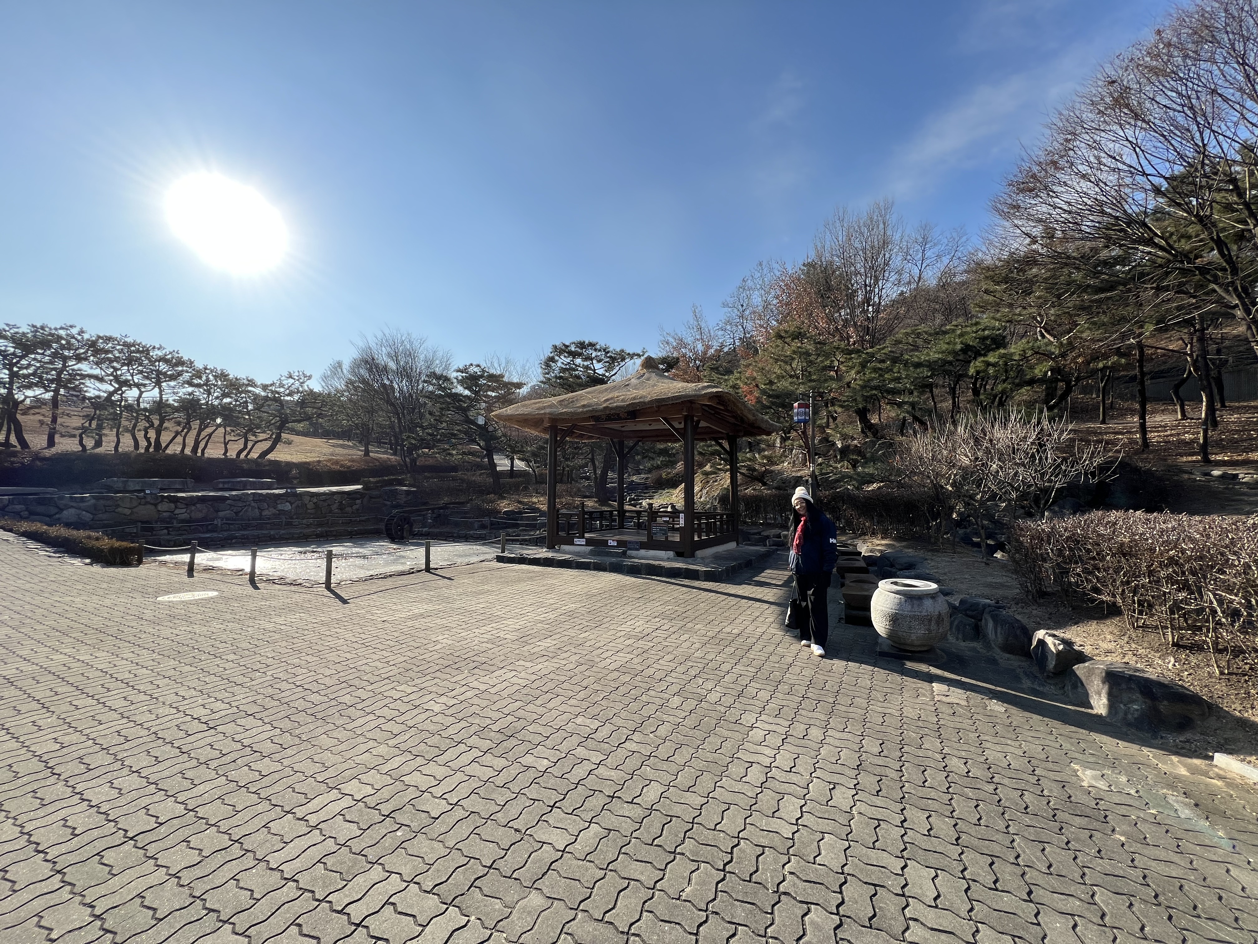 20250103_013735736_iOS