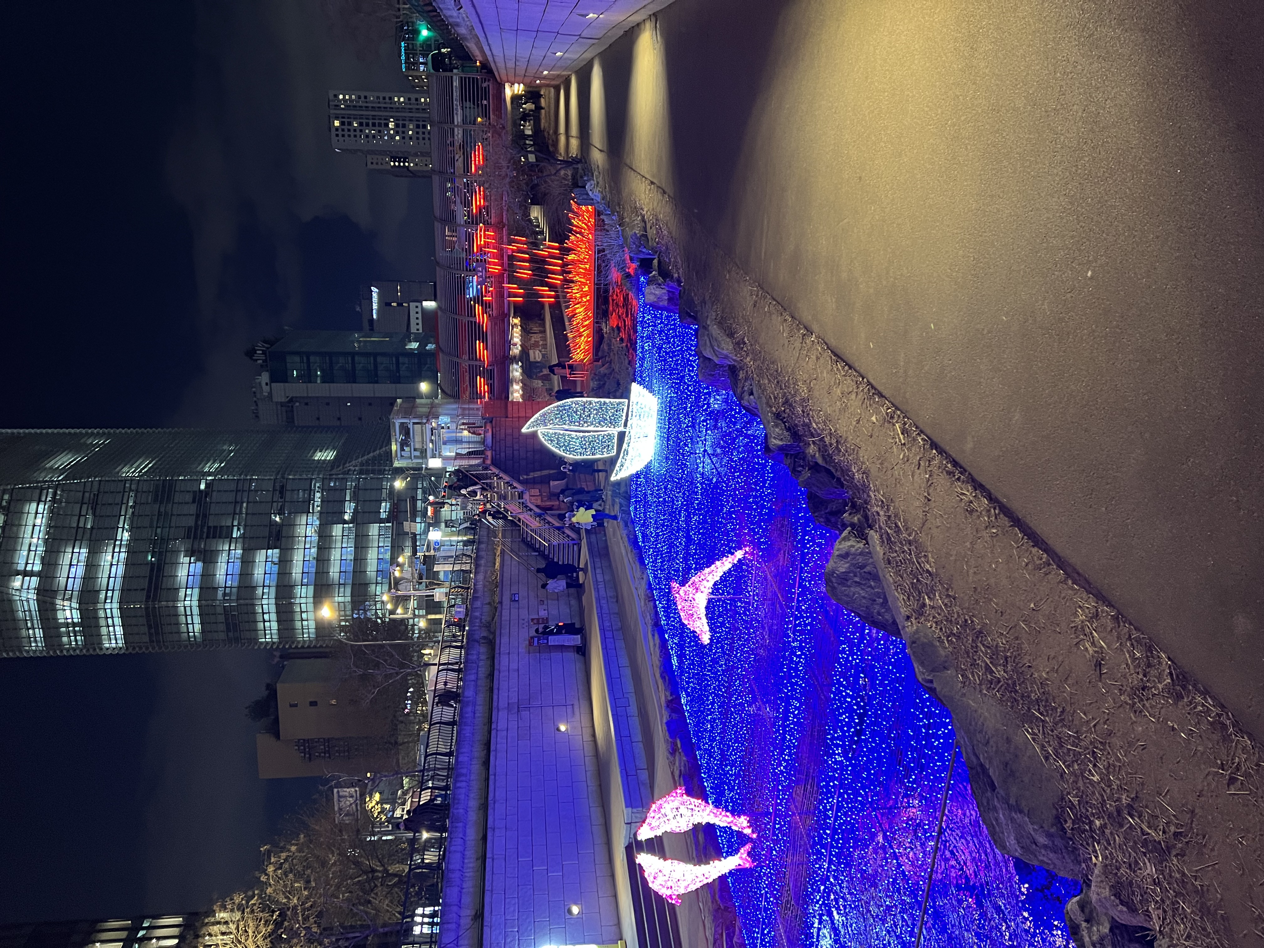 20250103_103227097_iOS