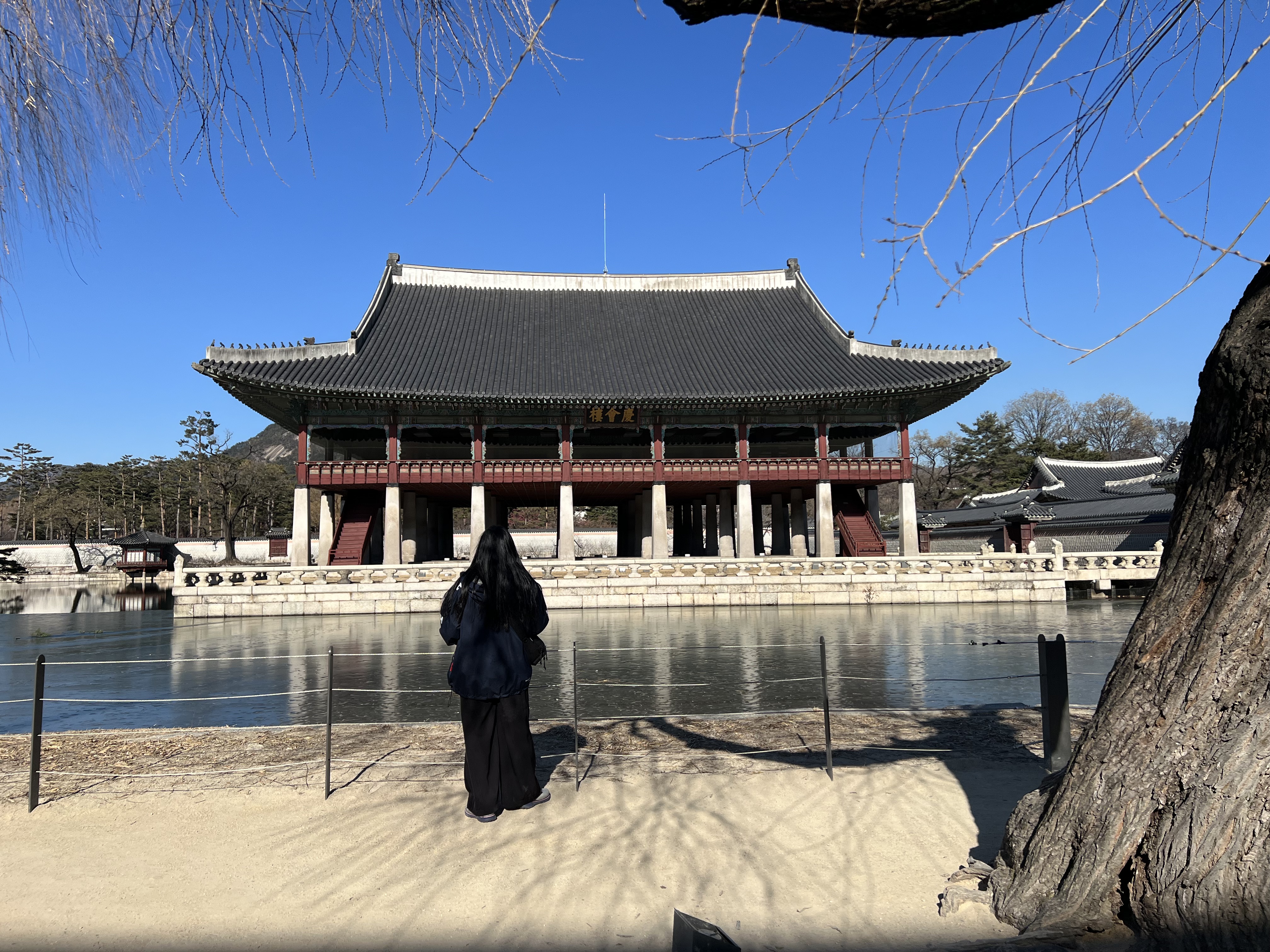 20250104_041904803_iOS