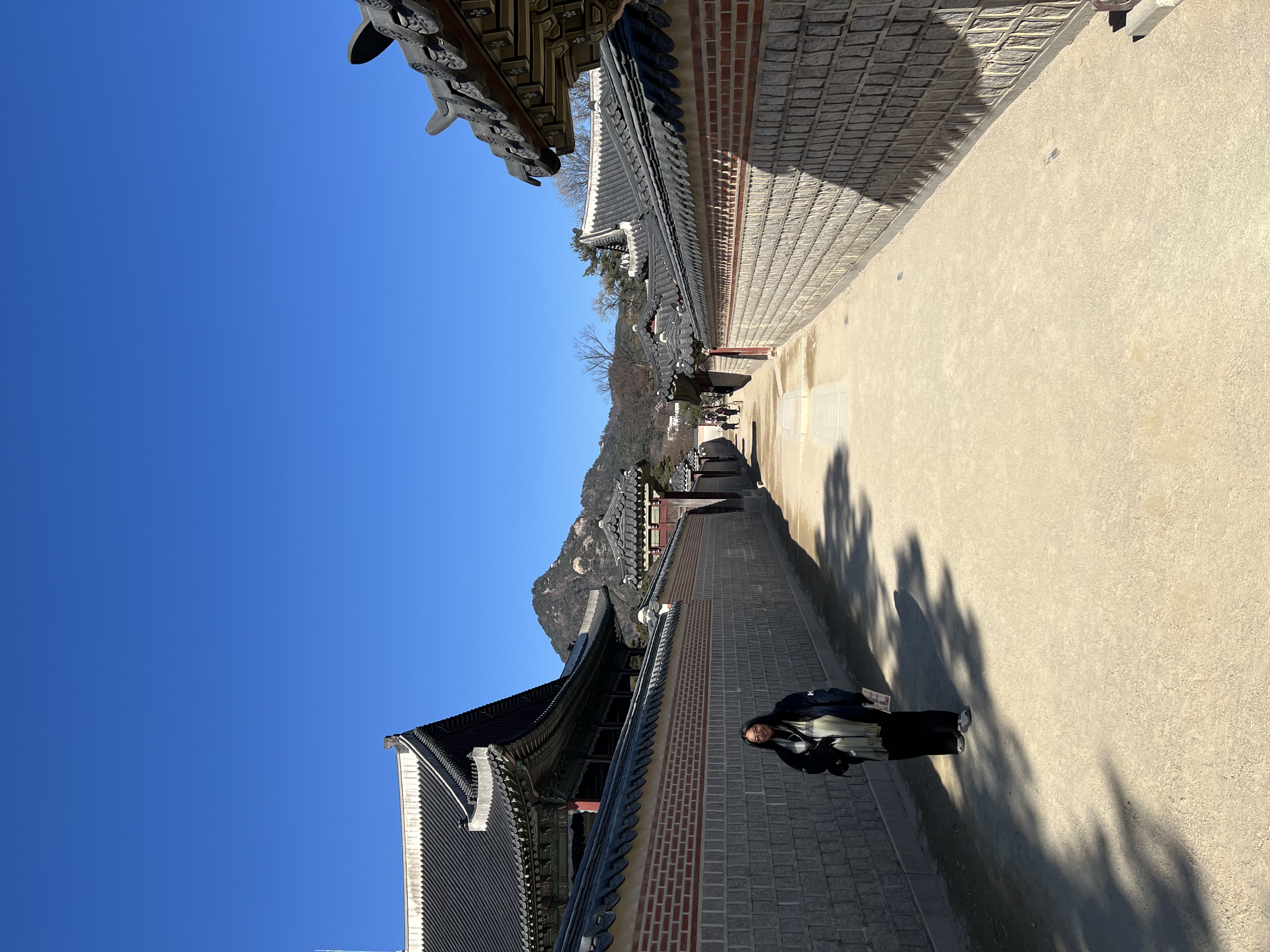 20250104_042517510_iOS