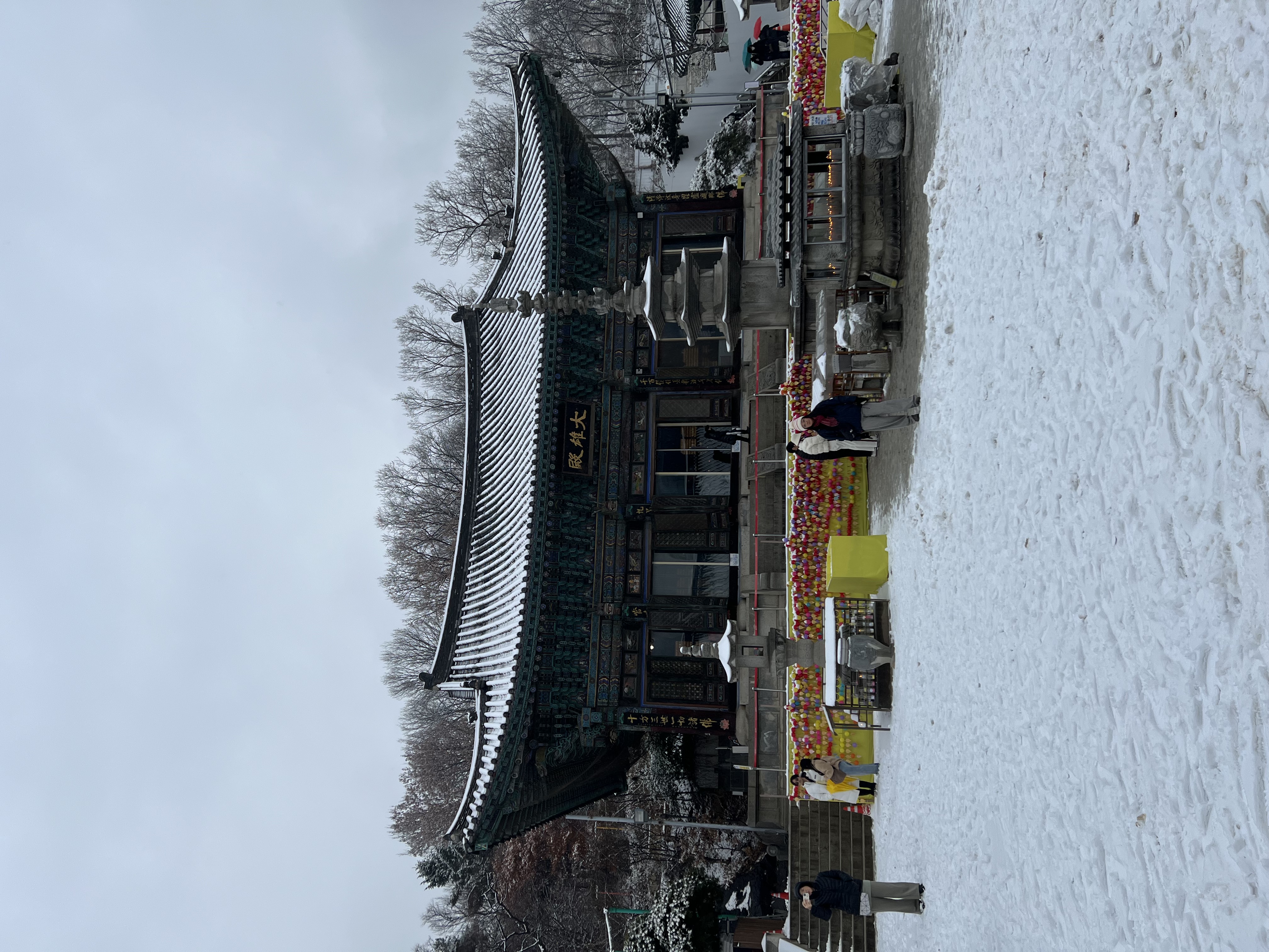 20250105_030221474_iOS