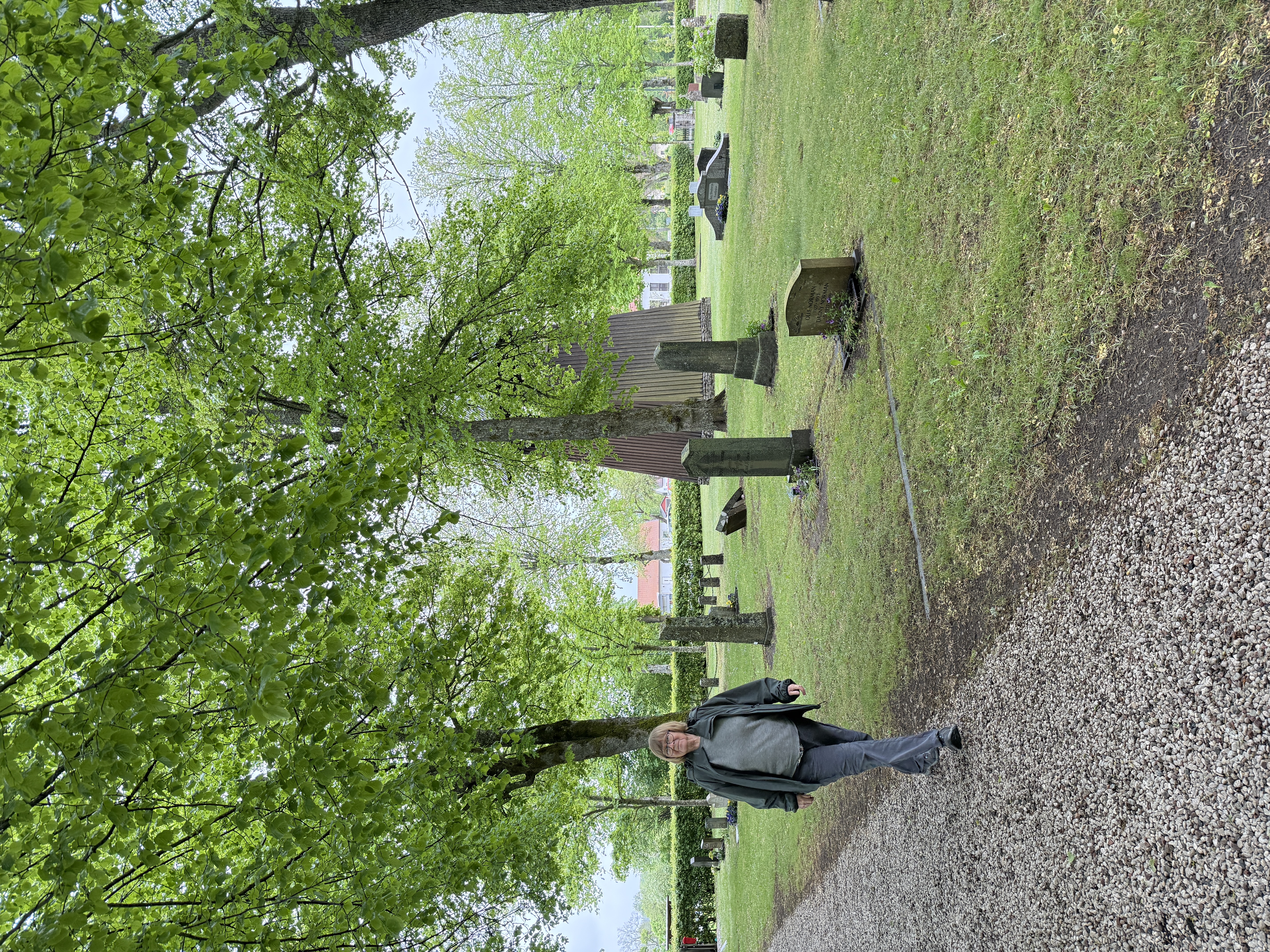 20250528_115856485_iOS