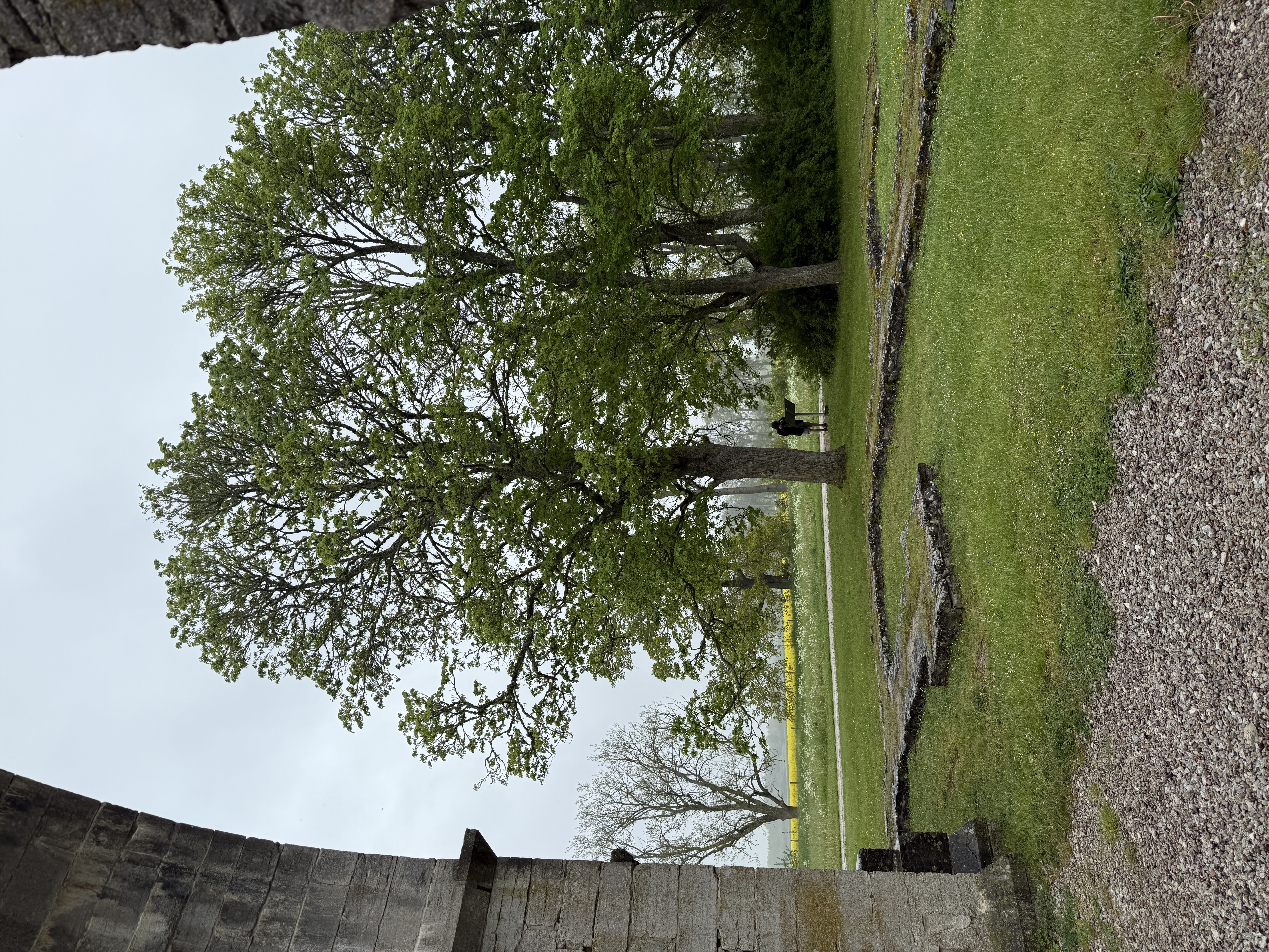 20250528_121906135_iOS