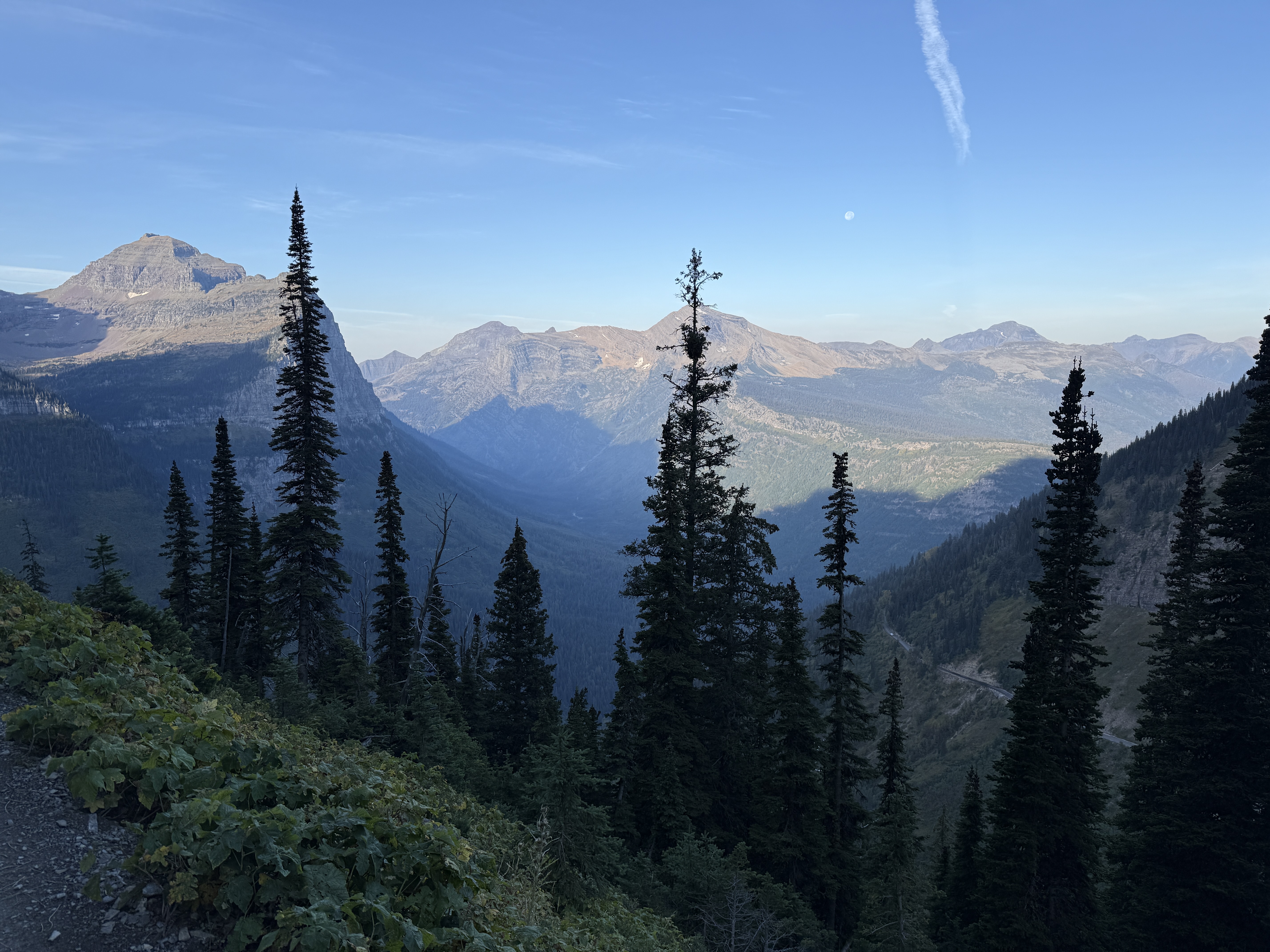 IMG_3427