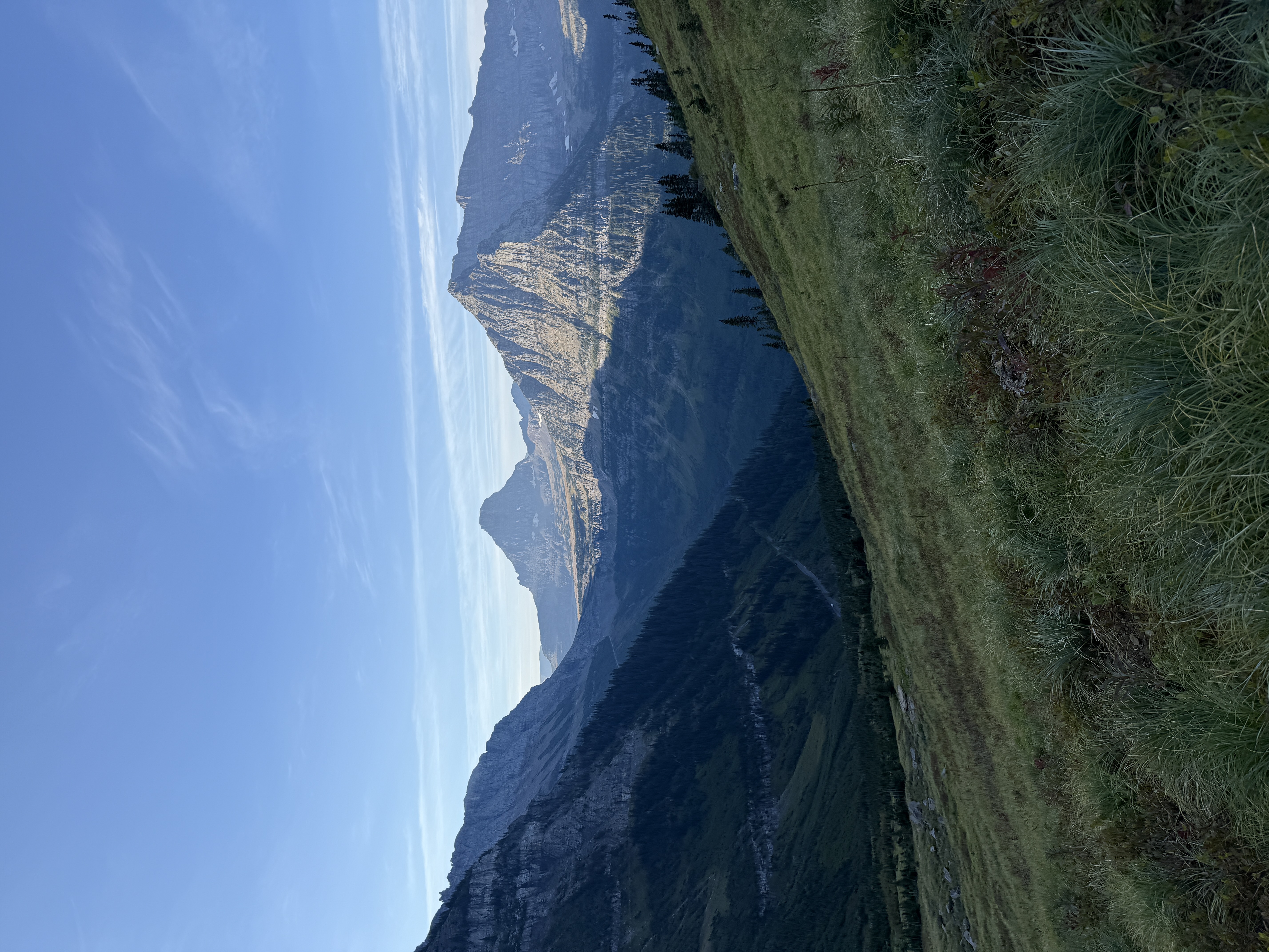 IMG_3445