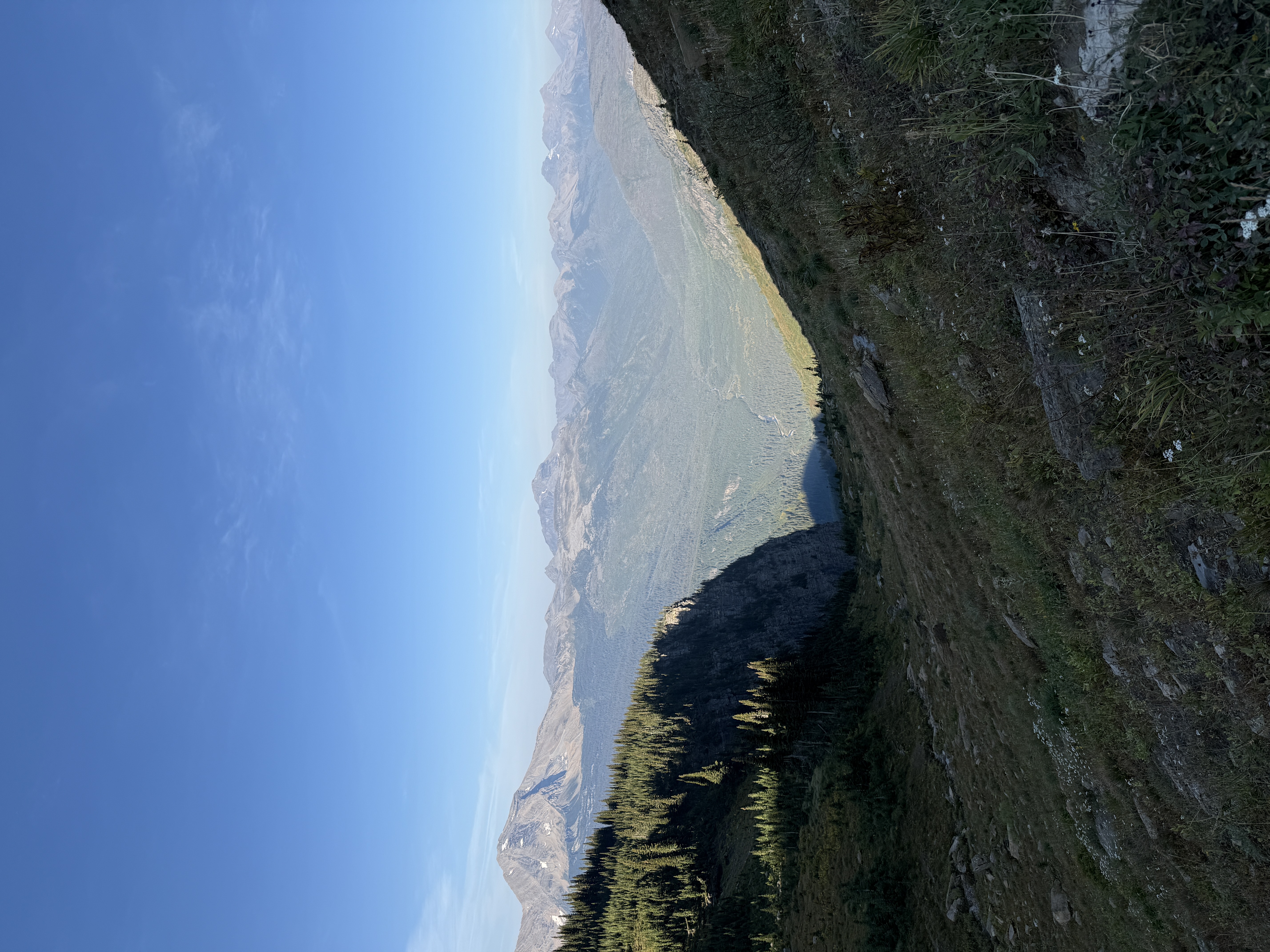IMG_3457