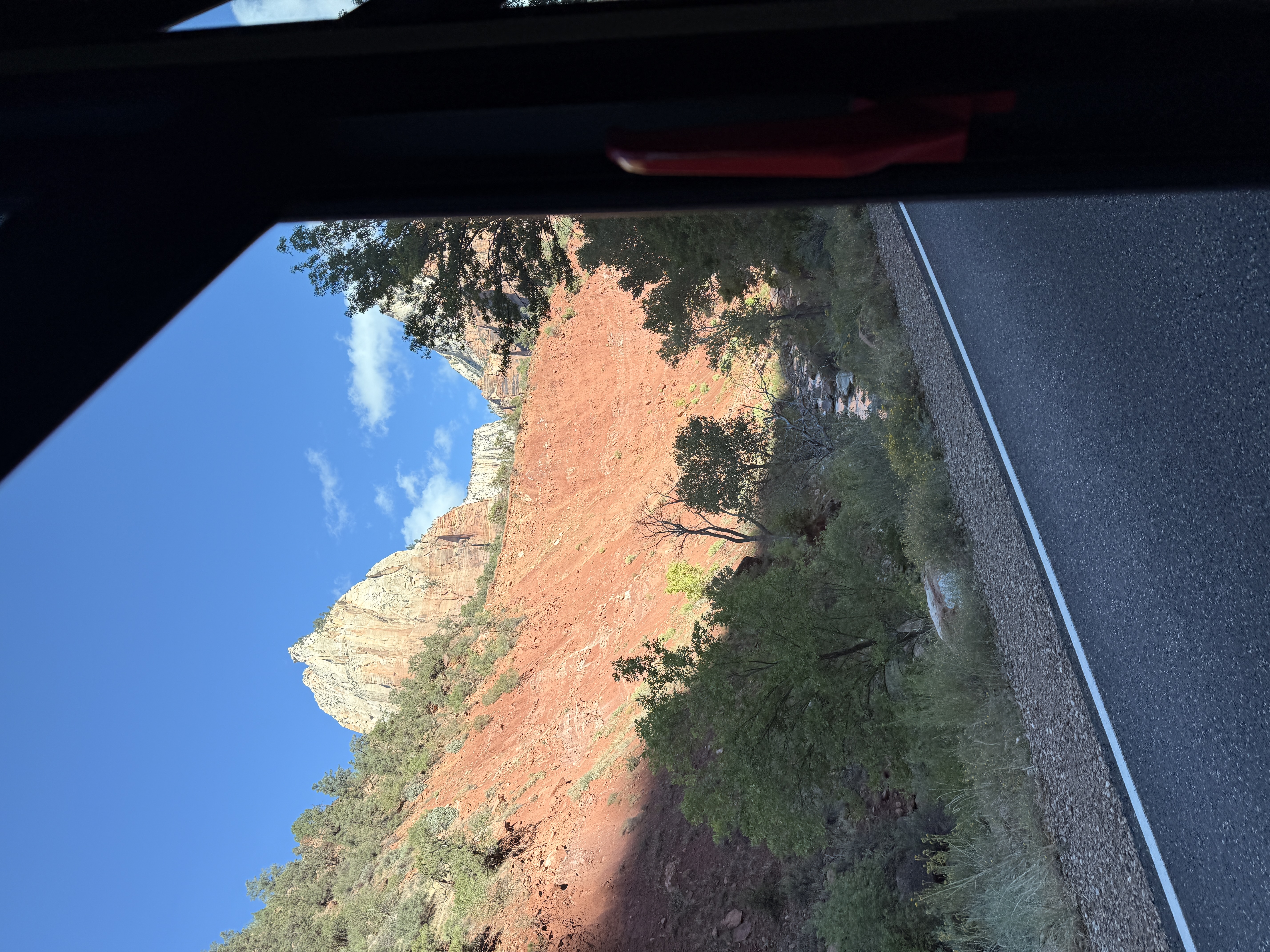 IMG_3784