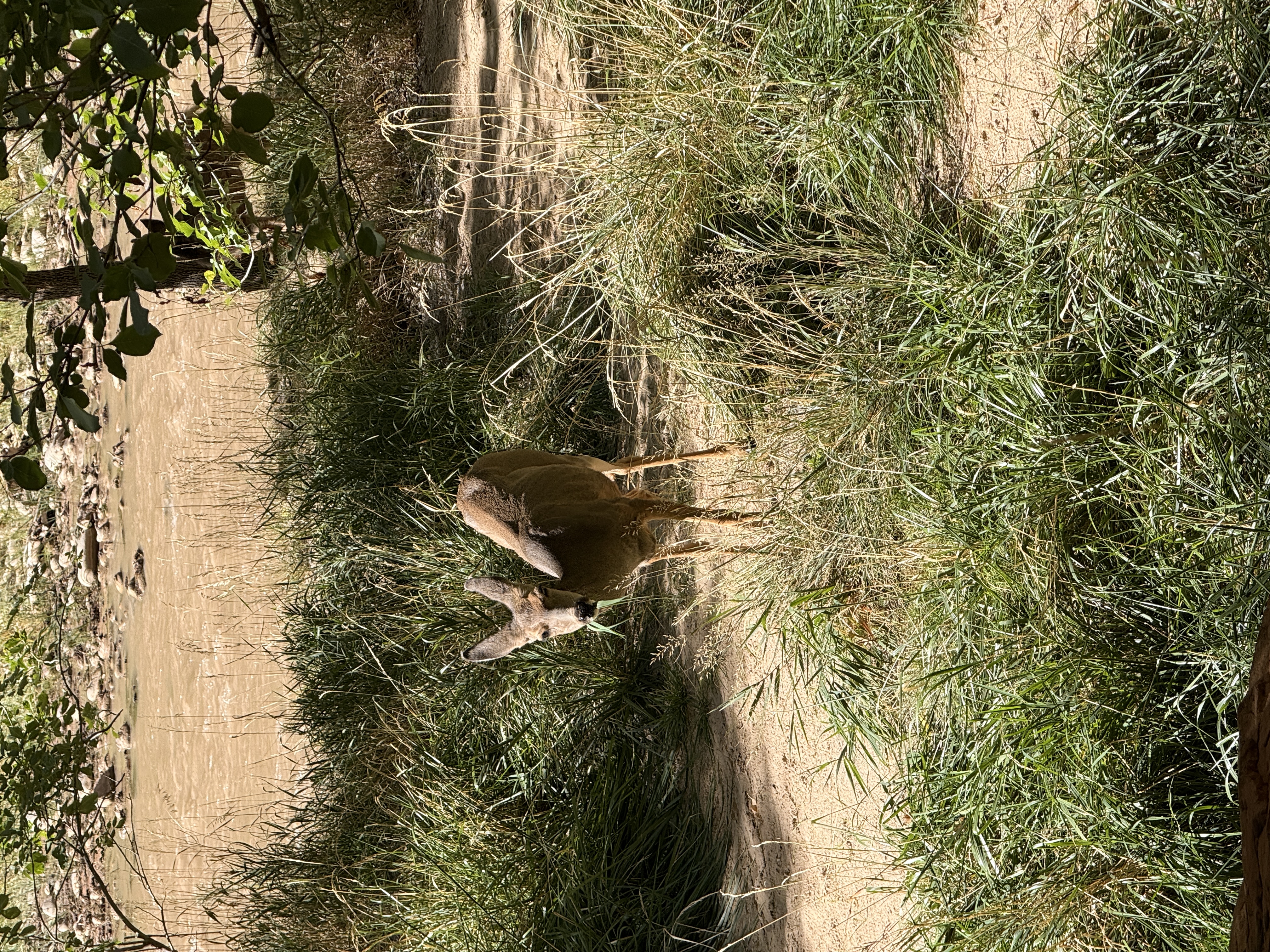 IMG_3900