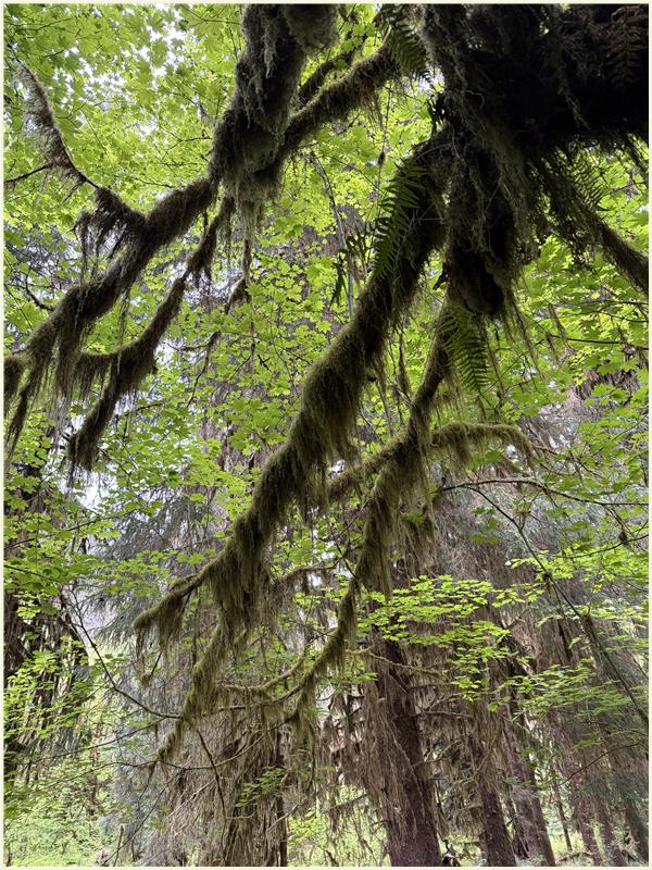 Click to view picture at full resolution