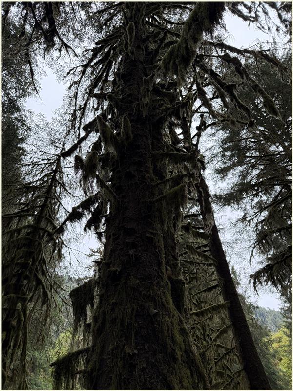 Click to view picture at full resolution