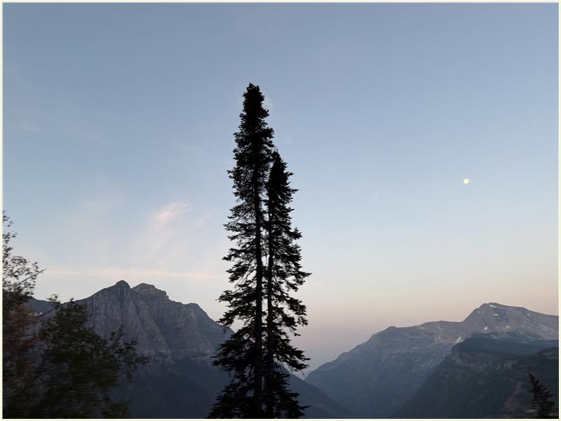 Click to view picture at full resolution