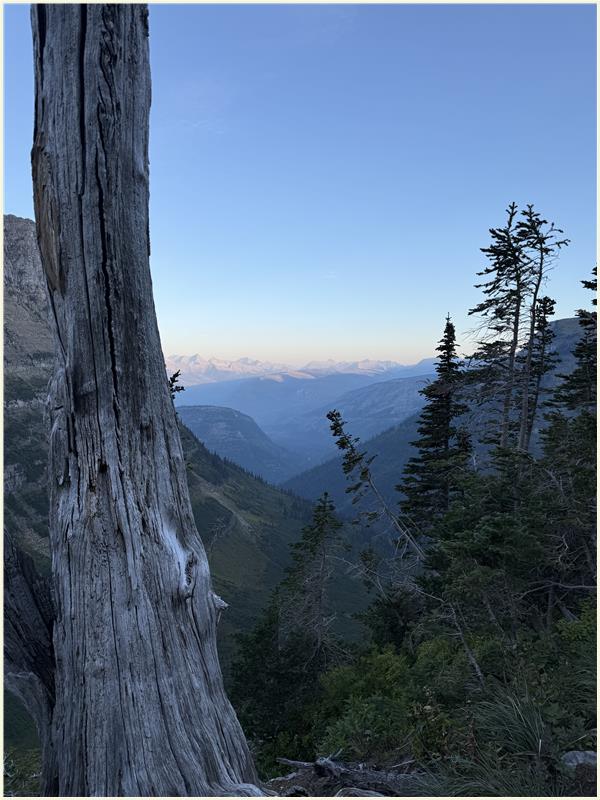 Click to view picture at full resolution