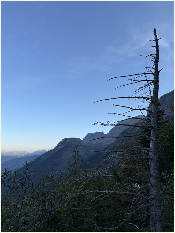 Click to view picture at full resolution