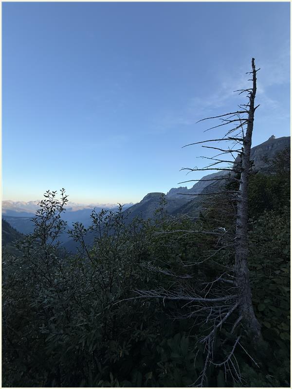 Click to view picture at full resolution