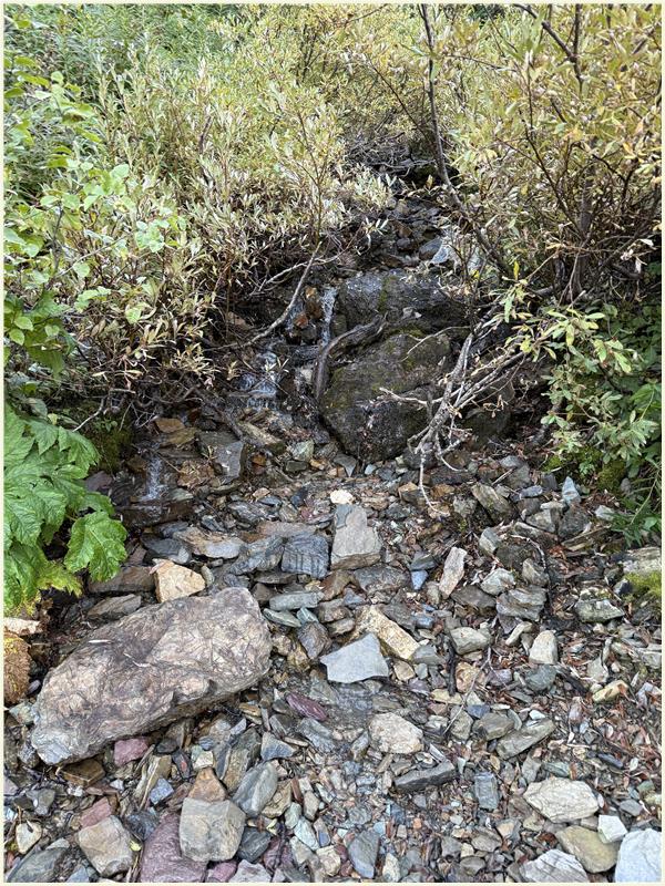 Click to view picture at full resolution