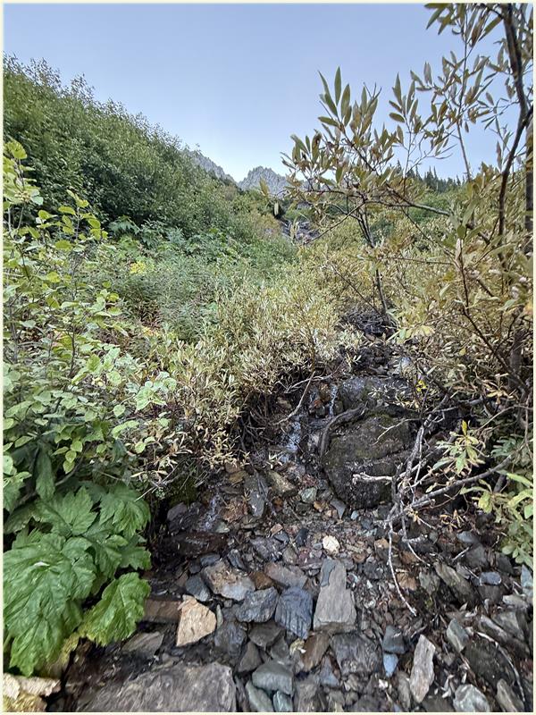 Click to view picture at full resolution