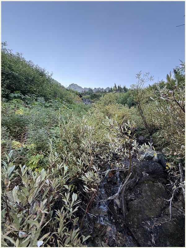 Click to view picture at full resolution