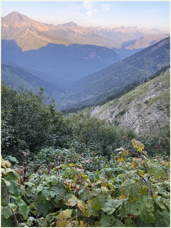 Click to view picture at full resolution