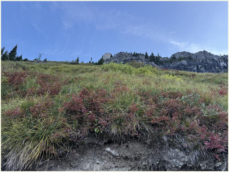 Click to view picture at full resolution