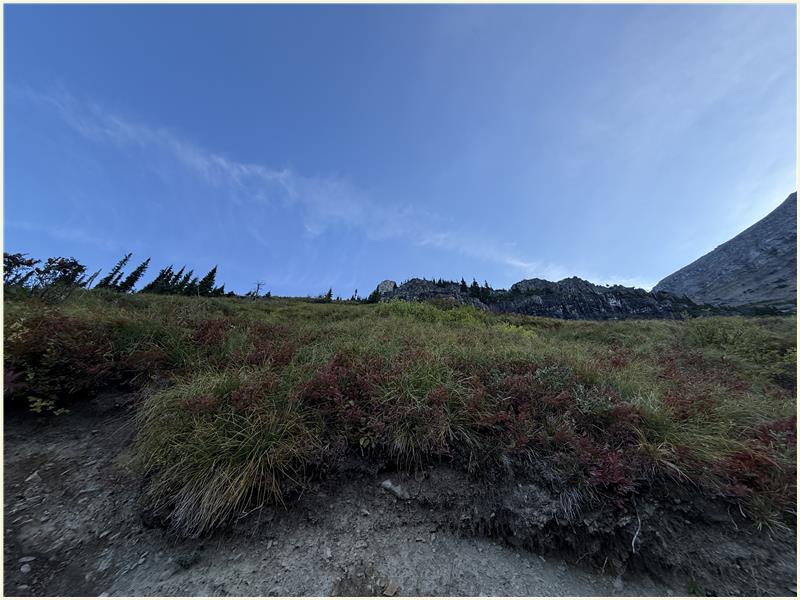 Click to view picture at full resolution