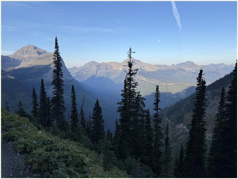 Click to view picture at full resolution