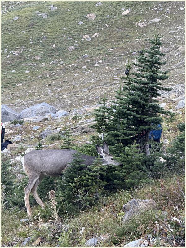 Click to view picture at full resolution