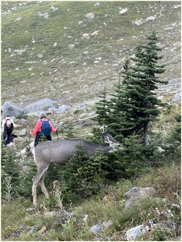 Click to view picture at full resolution