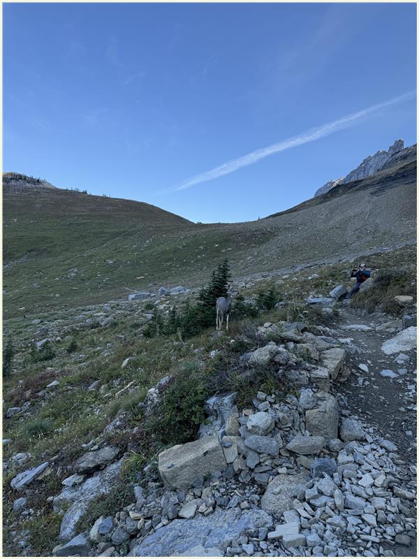 Click to view picture at full resolution