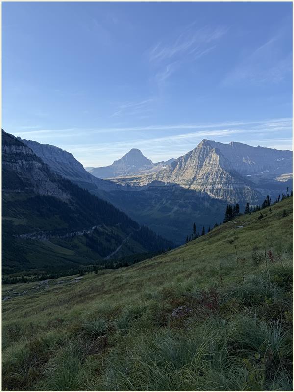 Click to view picture at full resolution