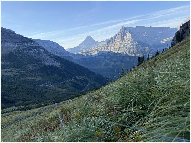 Click to view picture at full resolution