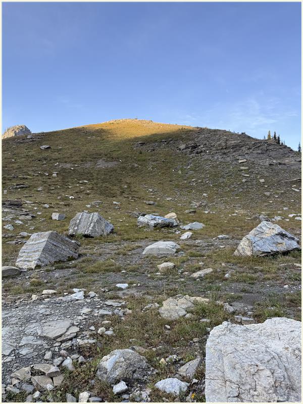 Click to view picture at full resolution