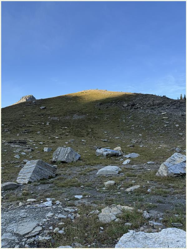 Click to view picture at full resolution