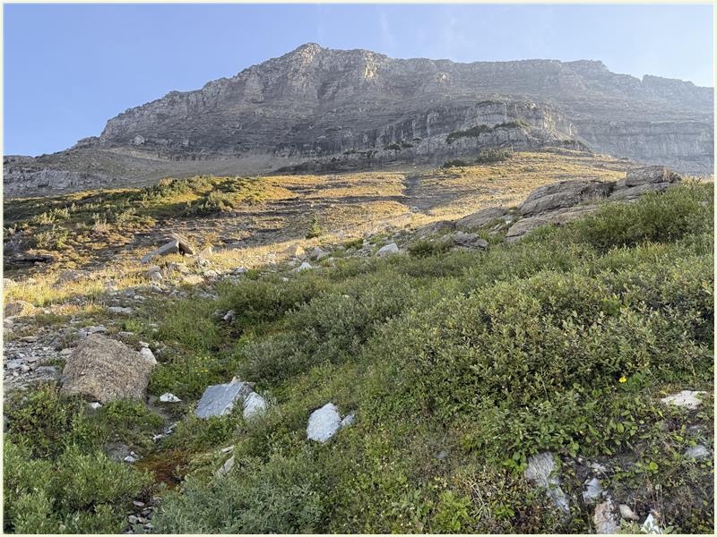 Click to view picture at full resolution