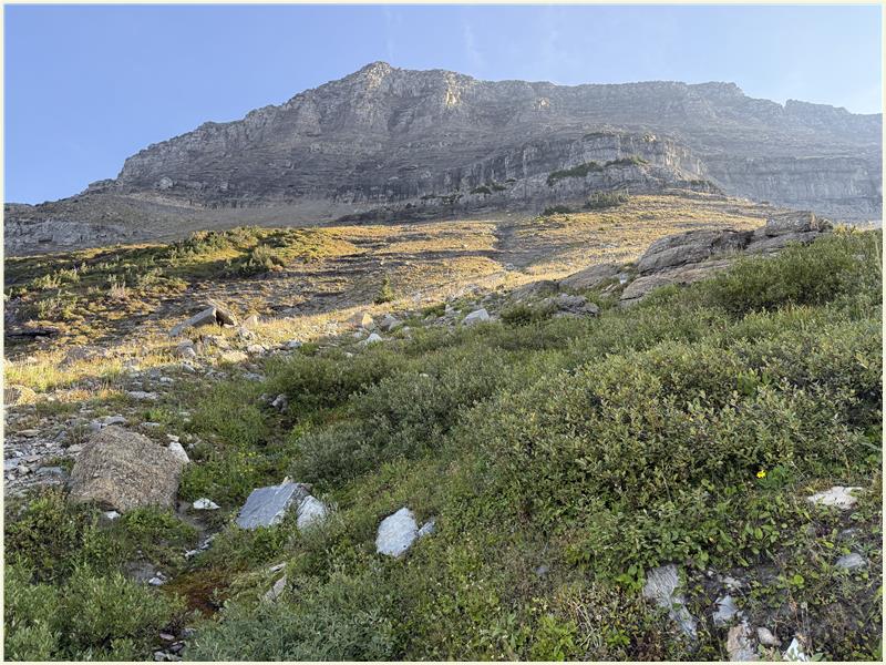 Click to view picture at full resolution