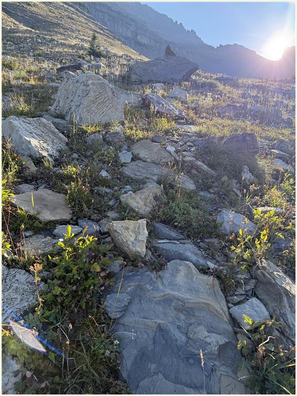 Click to view picture at full resolution