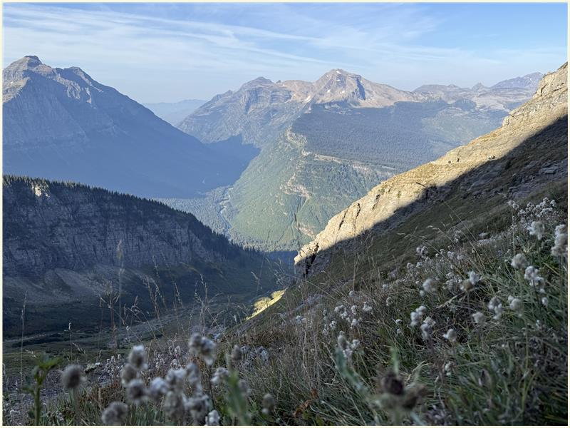 Click to view picture at full resolution