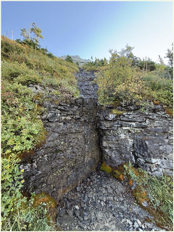 Click to view picture at full resolution