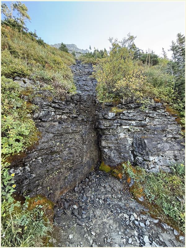 Click to view picture at full resolution