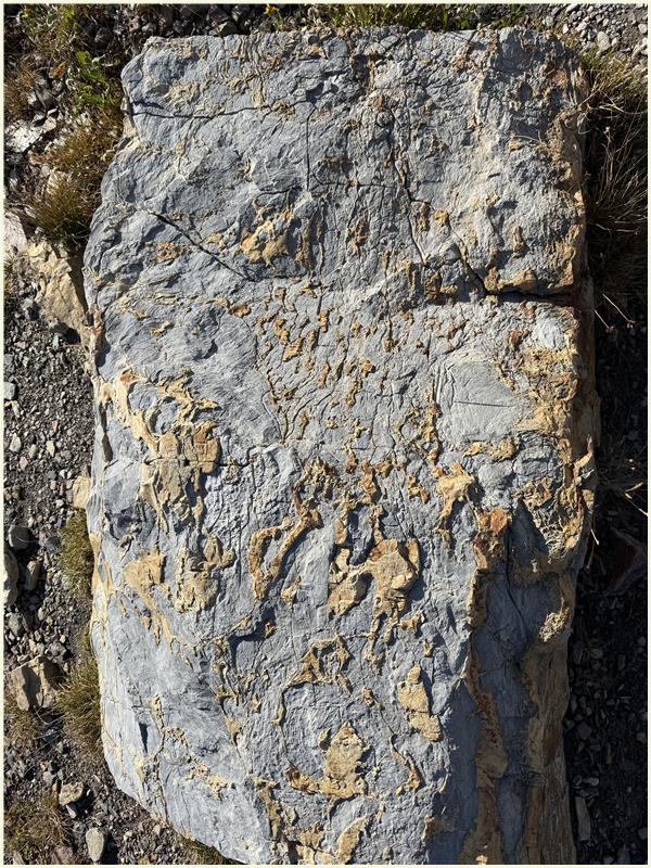 Click to view picture at full resolution