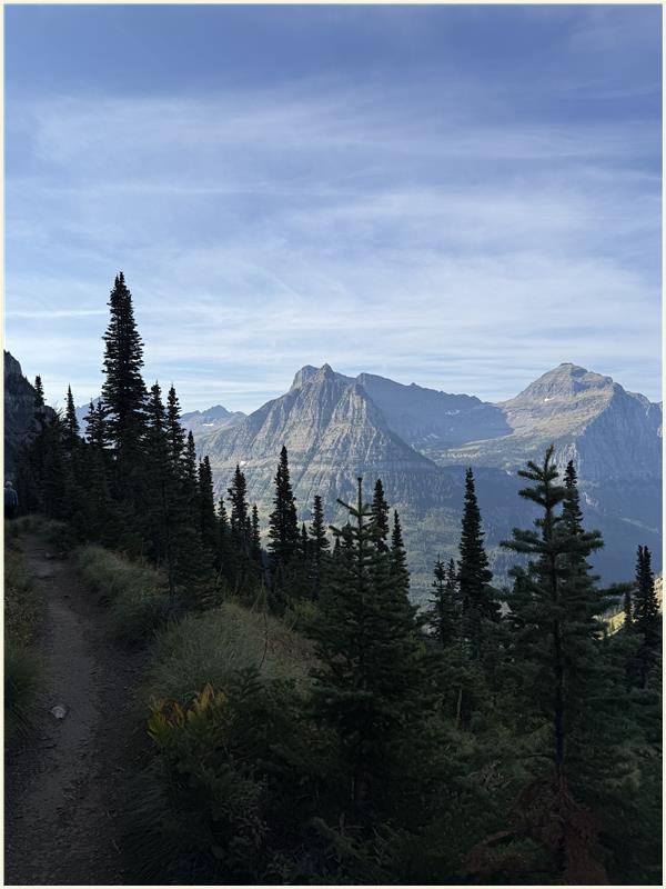 Click to view picture at full resolution