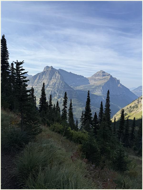 Click to view picture at full resolution