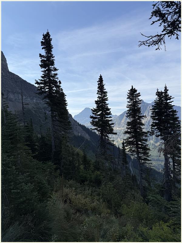 Click to view picture at full resolution