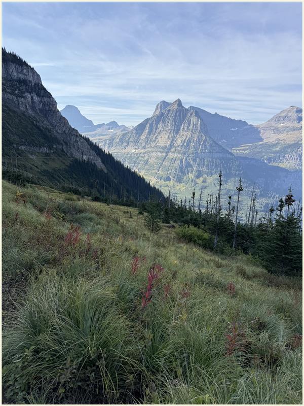 Click to view picture at full resolution