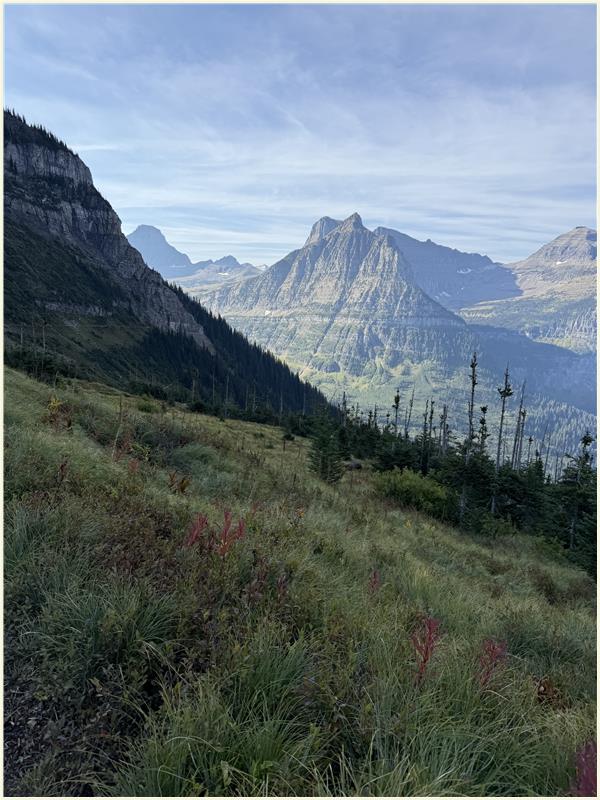 Click to view picture at full resolution