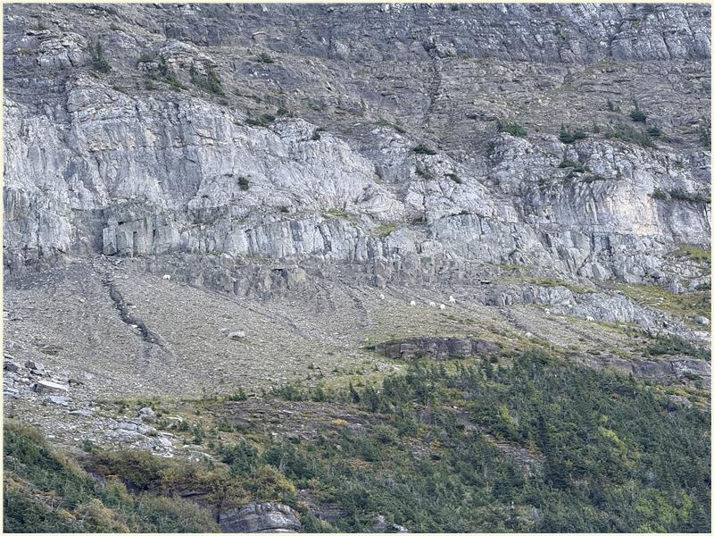 Click to view picture at full resolution